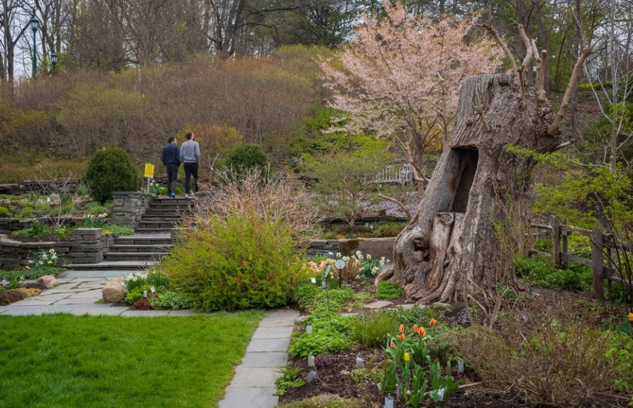 Cornell Botanic Gardens, United States